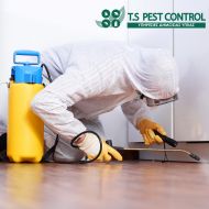 t.s pest control cyprus - skroutz.com.cy | παγιδες εντομων |απεντομωσεις κυπρο | pest control nicosia | pest control cyprus |pest control limassol |pestcontrol cyprus | απεντομωση λευκωσια