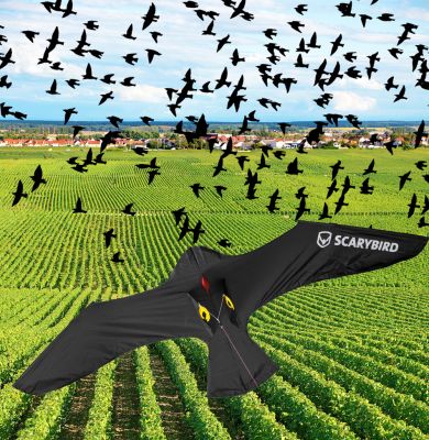 Ιπτάμενος Απωθητικός Αετός για Πουλιά Scarybird Kite Complete Set - Απωθητικά Πουλιών / Περιστέρια - Scary bird Kite - skroutz.com.cy
