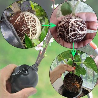 Σετ 3 τμχ επαναχρησιμοποιήσιμη μπάλα ριζοβολίας φυτών - skroutz.com.cy