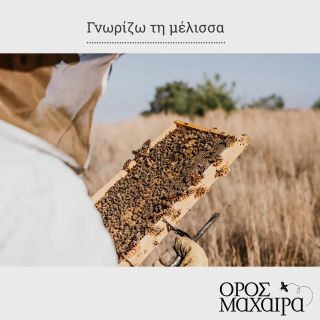 Γνωρίζω τη μέλισσα - Ξενάγηση από το Όρος Μαχαιρά - skroutz κύπρου - skroutz.com.cy