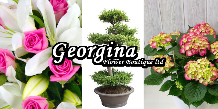 Georgina Flower Boutique ltd | Show your feelings with a flower!!