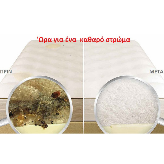 Στεγνός βιοκαθαρισμός και Πλύσιμο με Ατμό από την T.S. pest control - skroutz κύπρου - skroutz.com.cy